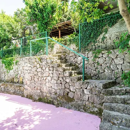 & Mara & Petrunjela - Two Bedroom With Terrace And Sea View Lejlighed Cavtat