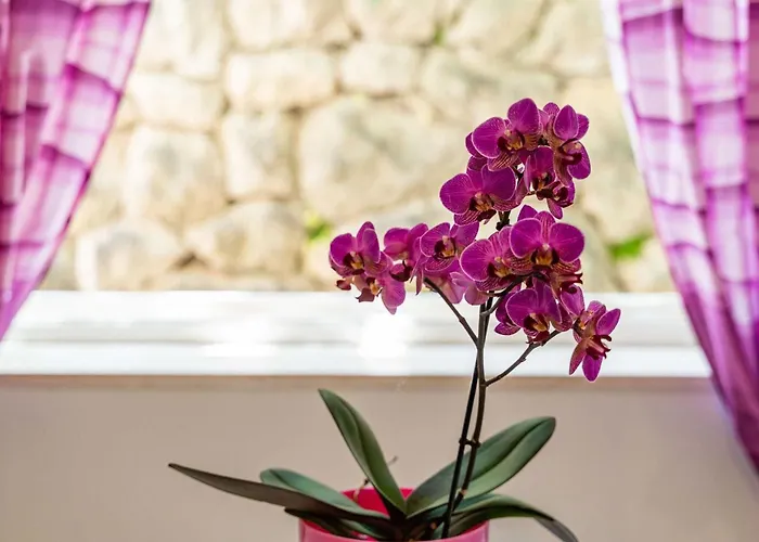 & Mara & Petrunjela - Two Bedroom With Terrace And Sea View Apartament Cavtat